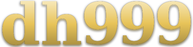 dh999 logo